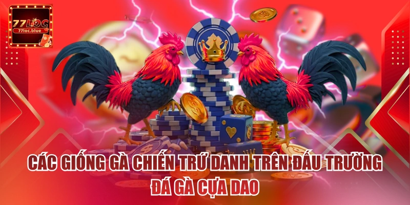 Các giống gà chiến trứ danh trên đấu trường đá gà cựa dao