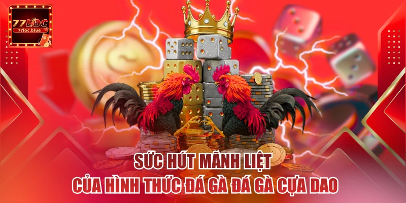 Sức hút mãnh liệt của hình thức đá gà đá gà cựa dao